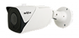 Kamera IP Starlight